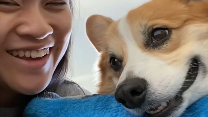 "This is probably why people keep dogs!"