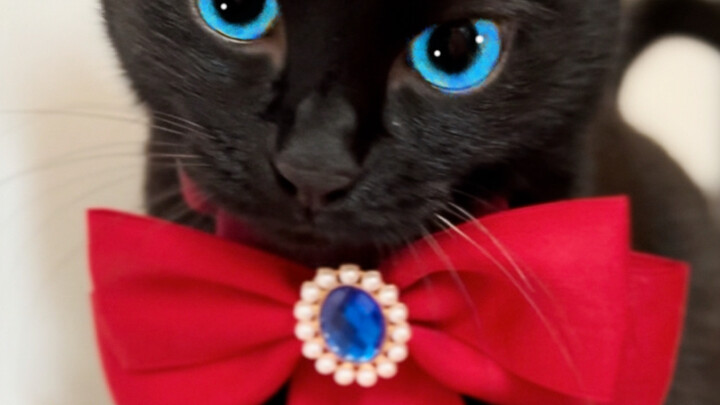 Hello, are you Miss Christine? (OOC apology)