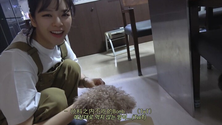 【TWICE TV ซับไทย】เบื้องหลังการทำขนมสัตว์เลี้ยงฝีมือจองยอน และคลิปชิมลิ้มรส