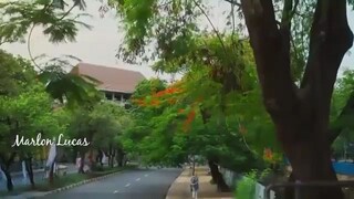 Private Bodyguard EP 1 Tagalog