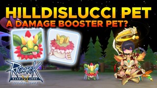 HILLDISLUCCI PET, A DAMAGE BOOSTER PET - RAGNAROK MOBILE