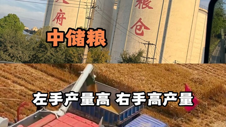 Nói kho thóc không có gạo, cứ đăng ký công chức là trúng tuyển