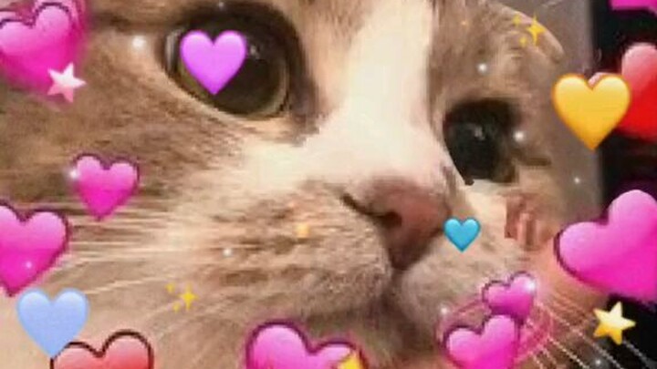 hahahahaha:-):-):-)(^^)(^^)(^^)