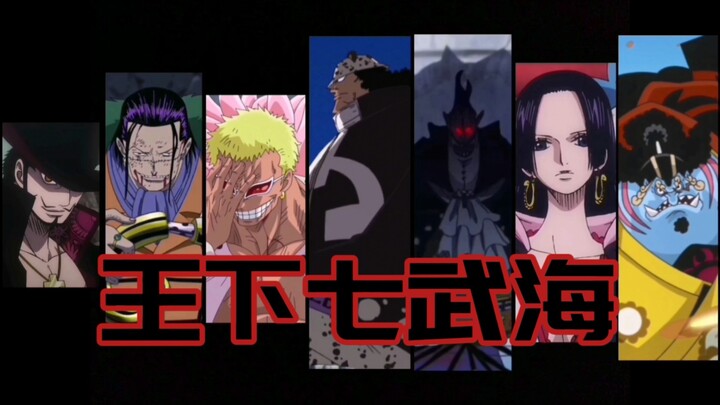 Đây là Shichibukai! !