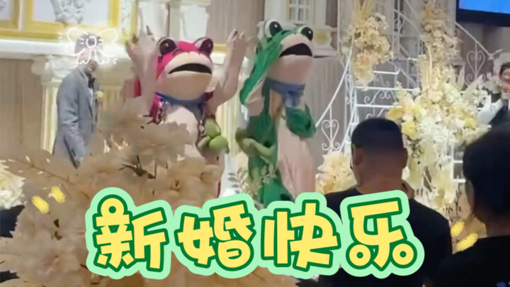 Guest: Where are the bride and groom? Parents: Those two frogs dancing over there are them!