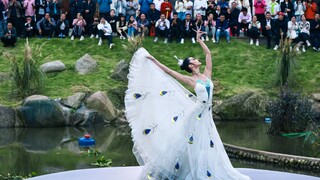 【شياو رونغ هاو】رقصة منفردة «روح العصفور»