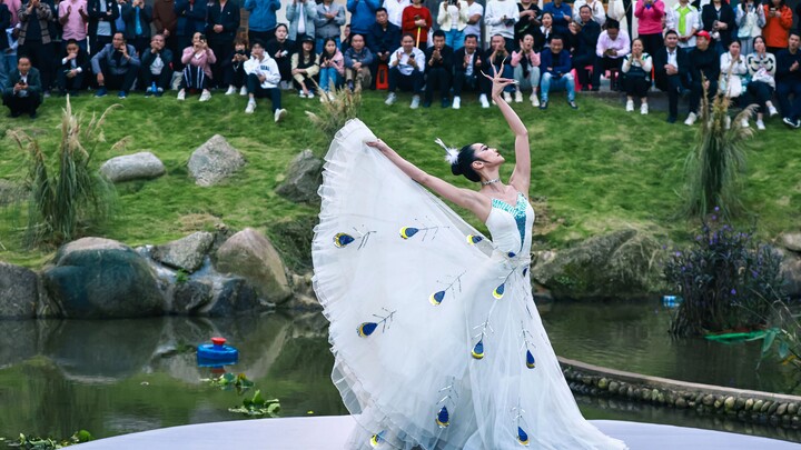 [Xiao Ronghao] Solo Dance "Spirit of the Peacock"