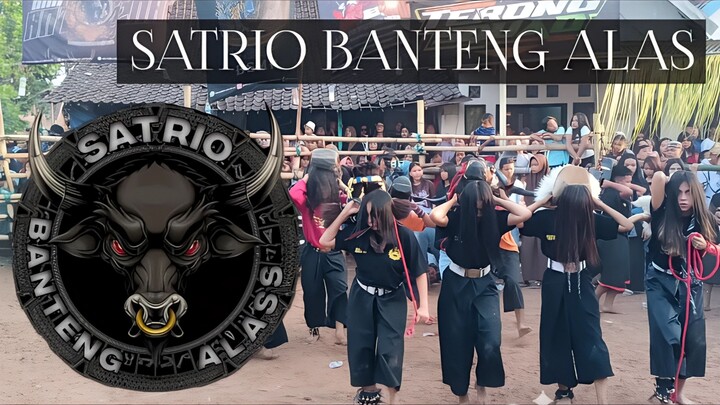SATRIO BANTENG ALAS‼️LIVE TERONG BUMIAYU KOTA MALANG