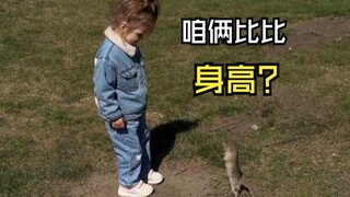 那些美好的动物视频！