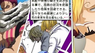 [ VIVRE CARD DATABOOK ] Sanji Juga Bisa Melihat Masa Depan!