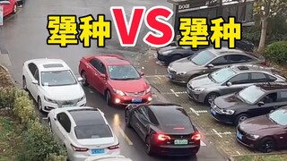 Một người bướng bỉnh gặp một người bướng bỉnh khác, quả là một cặp đôi hoàn hảo!