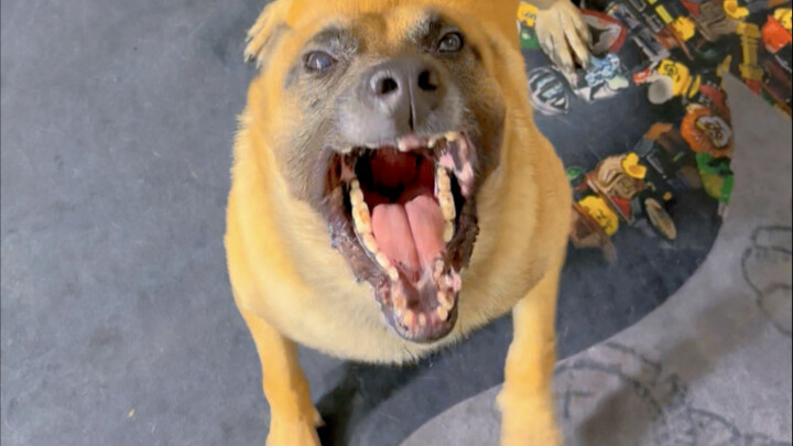 อายุห้าขวบแล้ว สอบเอนทรานซ์ได้ไหม?