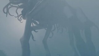 巨物恐惧症狂喜！海陆空三栖巨物合集