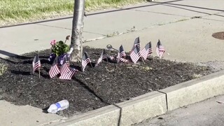 GLOBALink | Racism, political self-interest spawn rampant gun violence in U.S.: expert