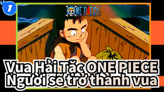 Vua hải tặc ONE PIECE| Tôi là người sẽ trở thành Vua Hải Tặc_1