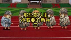 那些部队里抢着要的新兵三