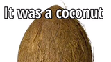 here's a coconut, I have no idea what to post