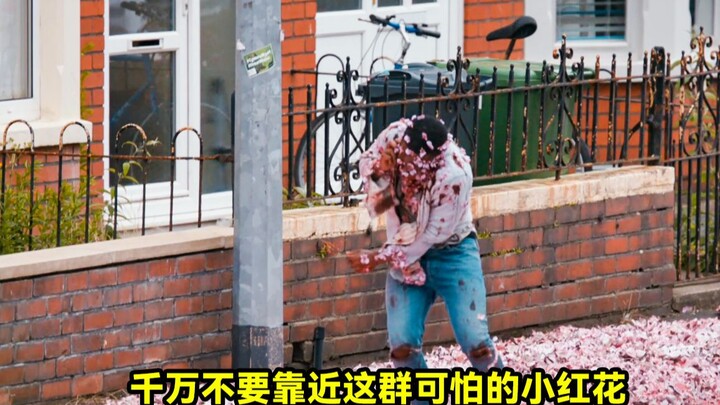 อย่าเผลอไปแตะดอกไม้สีแดงเล็กๆ แบบนี้เด็ดขาด ไม่งั้นคุณอาจไม่มีเวลาแม้แต่จะเสียใจ!