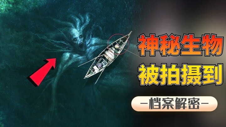 Six mysterious creatures: A 305-meter-long deep-sea monster, is it an unknown creature or a misunder