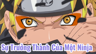 Sự Trưởng Thành Của Một Ninja