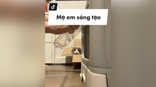 𝐁𝐚́𝐧𝐡 𝐁𝐚𝐨 🥟 tiếp nối câu chuyện nvs thì mình muốn chia sẻ thêm 1 chút cho ai phân vân nvs 1 chiều giống mình nhaa cat meo catsoftiktok