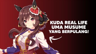 Kuda Real Life Uma Musume yang Kembali Berpulang...