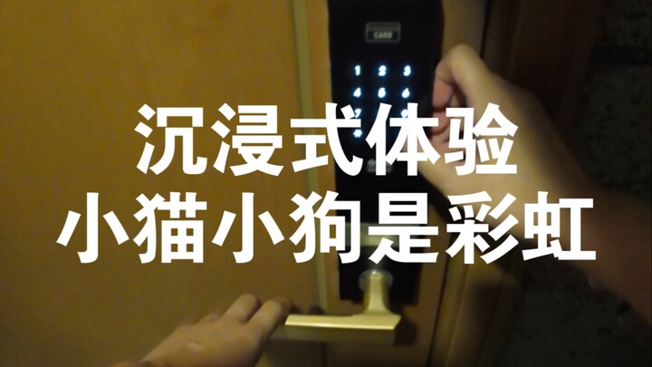 Xua tan u ám không chỉ có cầu vồng, mà còn có mèo con và chó con.