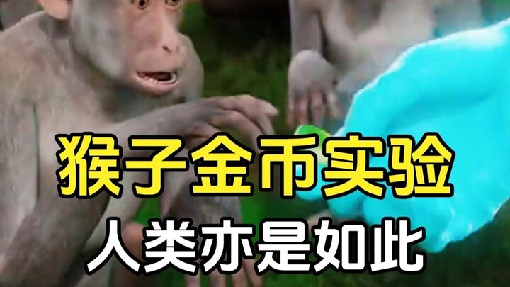 Thí nghiệm đồng xu của khỉ, con người cũng vậy