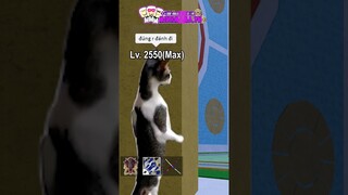 Tụi Mày Mong Chờ Gì Ở Bọn Tao #roblox #minhmama #bloxfruits #robloxedit #shortvideo #memes