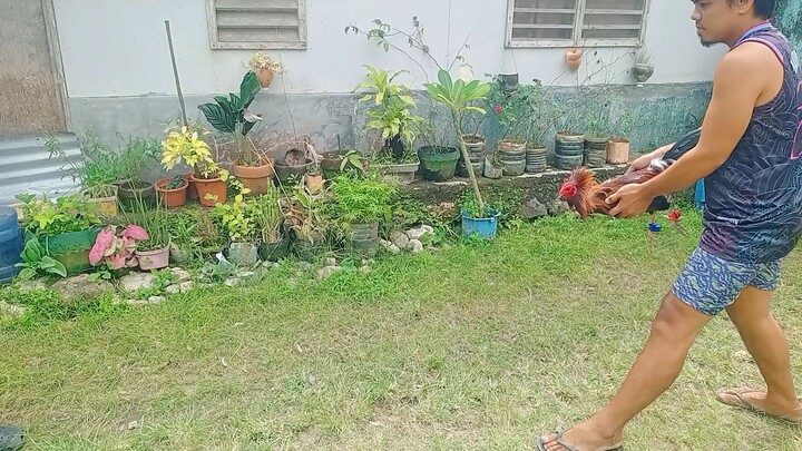 practice muna
