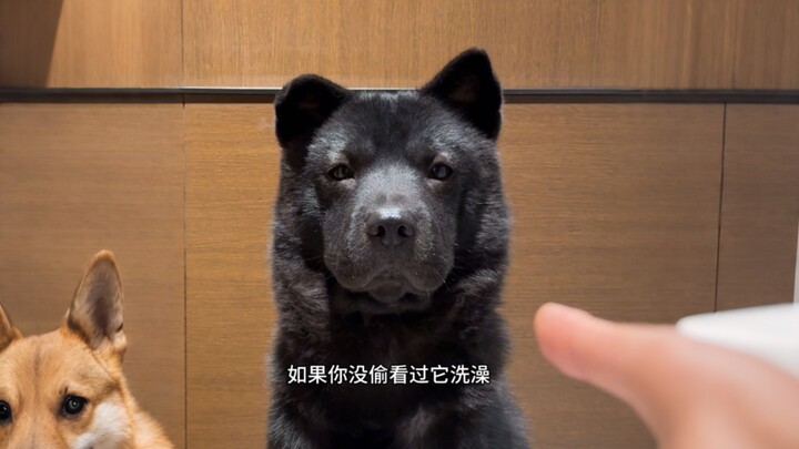 Let's get to know…