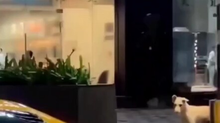 Quay, tháo, hiểu?