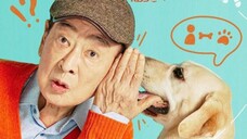 Dog Knows Everyting Episode 8 Sub Indo