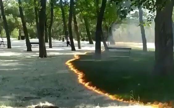 Tại công viên ở Tây Ban Nha, người ta đốt những sợi lông bạch dương; cảnh tượng trông chẳng khác gì 
