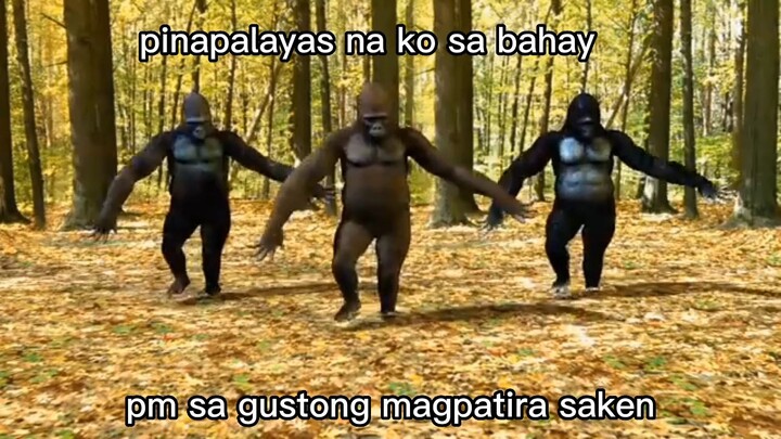Baka Naman🥱