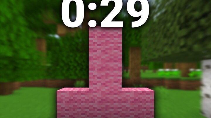 【搬运】（前前）《Minecraft》“粉色迪克”世界速通记录