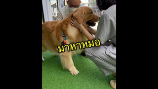 เอ็นดูพนังงานลากใจดี5555💟