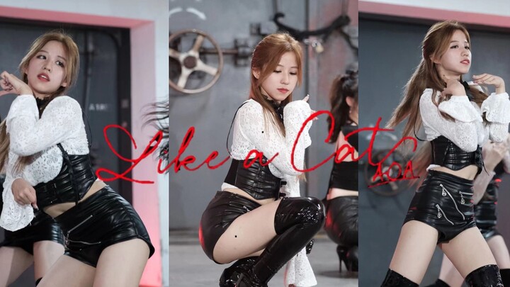 【4k】คืนนี้~ โปรดรับกระดิ่งแมวขโมยหัวใจตัวนี้ไว้ด้วย♥ AOA - Cat Step Qingqiao Youna พลิกตัวหน่อย