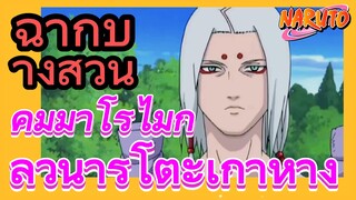 [นารูโตะ] ฉากบางส่วน |  คิมิมาโร่ไม่กลัวนารูโตะเก้าหาง