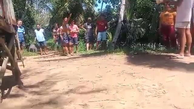 nognog game farm