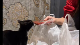Mỗi lần tôi trở về từ cửa hàng