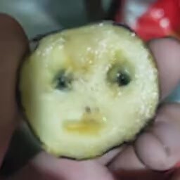 Damedame Terakhir Banana Sebelum Meninggal