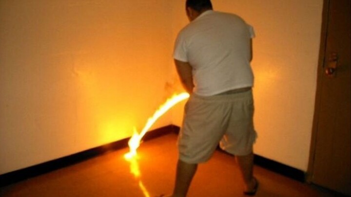 International Fun Video Compilation & Animal Silly Behavior Awards #115