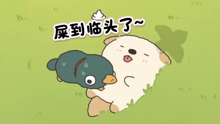 “Những khoảnh khắc thường ngày của chú cún nhỏ Hà Nam”