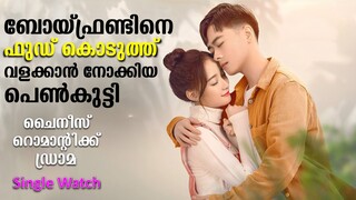 Falling in love Drama explained In Malayalam | Chinese Drama Malayalam explained #kdrama #malayalam