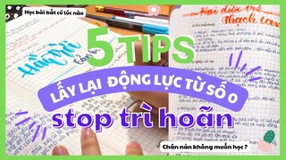 5 TIPS CHIẾN THẮNG SỰ TRÌ HOÃN TRONG HỌC TẬP | emily nè.