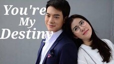 You're My Destiny Ep 3 Tagalog Dub