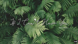 If I Can't Have You - Shawn Mendez (Lyric Video)