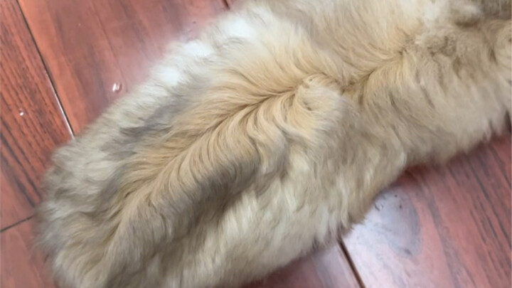 บ้านเราทำไมมีเด็กน้อยที่มีแสกกลางธรรมชาติมาอีกคนแล้วเนี่ย 😂