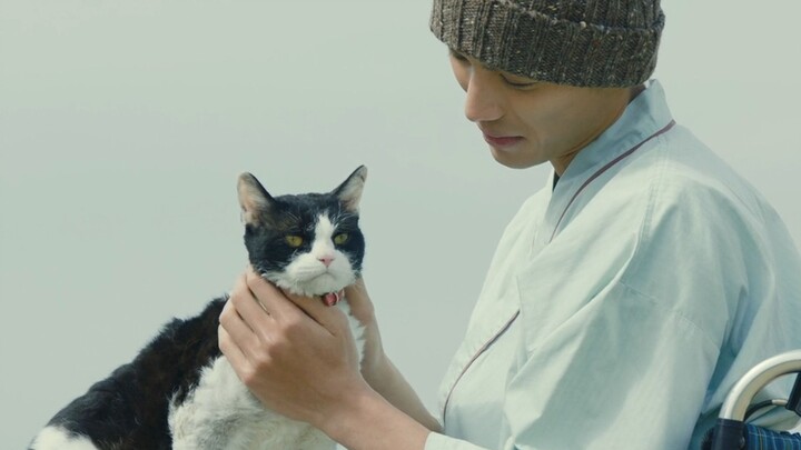 "It saved me from despair, spanning the distance between life and death."